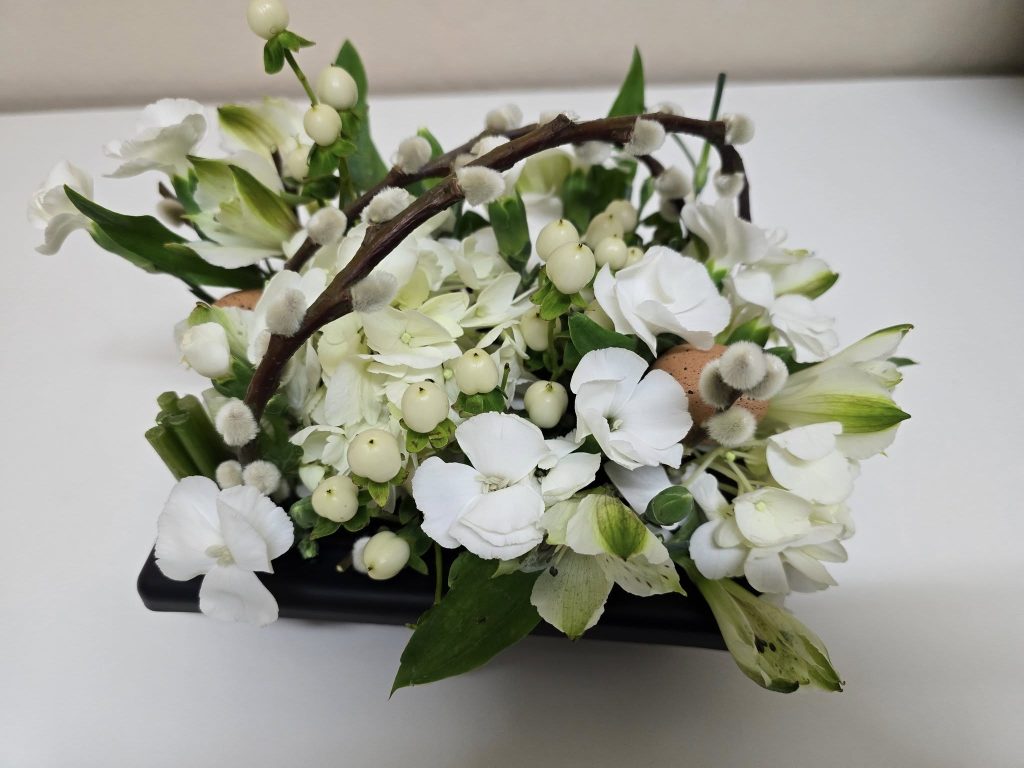 480247794_10231812471992005_2636591394642880972_n