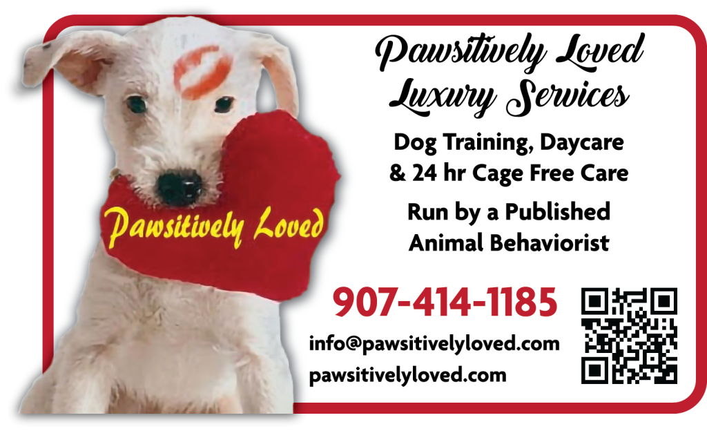 Pawsitively-Loved-Luxury-Services-ad-on-Headquarters-Cafe-table